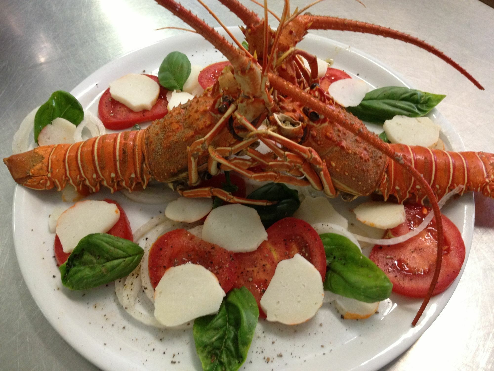 Stella Maris Hotel Cervia Buitenkant foto